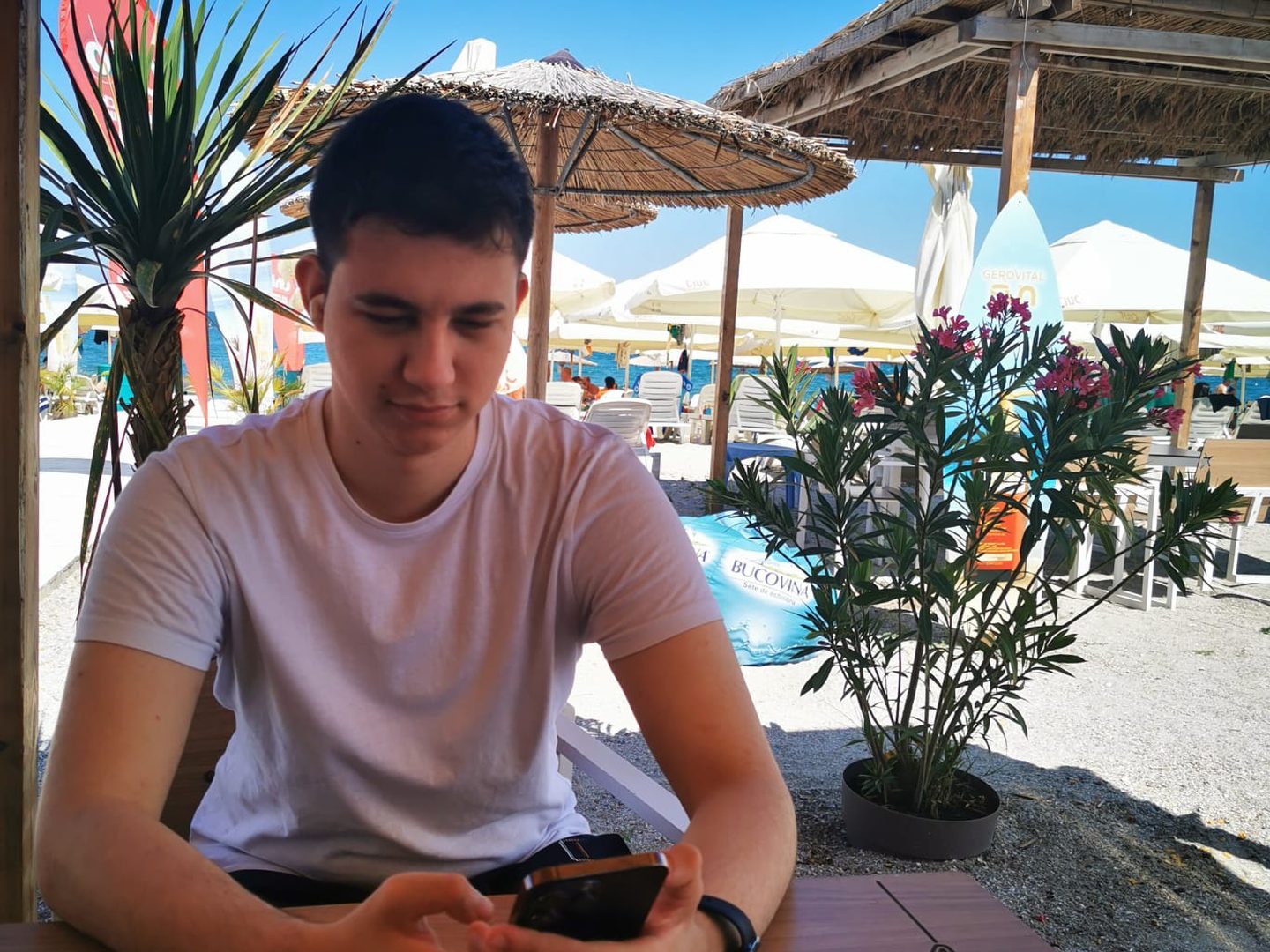 Alex at a beach café table, looking at a phone